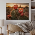 thumbnail image 1 of Designart "Red Green Cactus landscape With Sunset II" Floral Print on Natural Pine Wood, 1 of 5