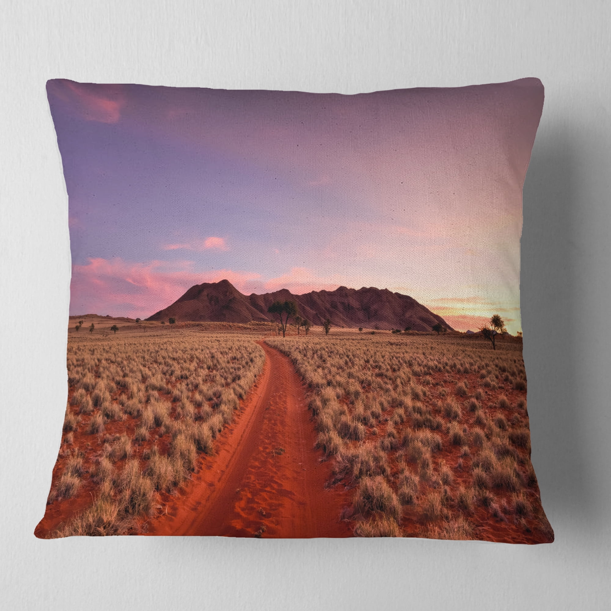 Designart Red Pathway in Namib Desert - Landscape Printed Throw Pillow - 18x18