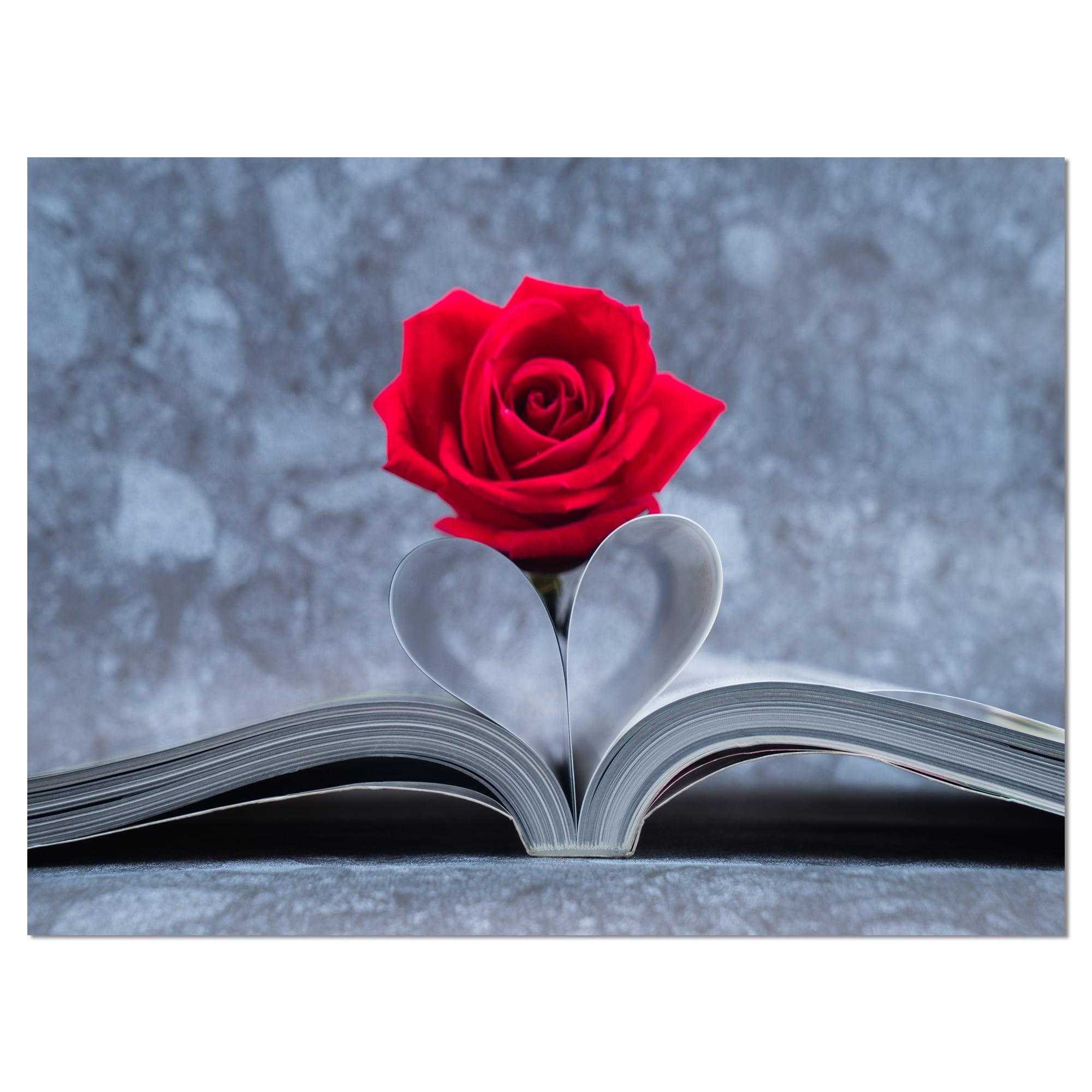 Red Rose on Open Book Canvas Art Print