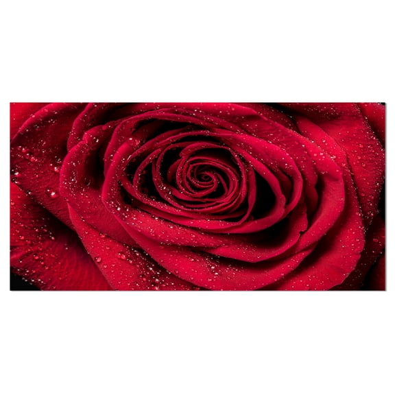 Designart 'Red Rose Petals with Rain Droplets ' Floral Art Canvas Print