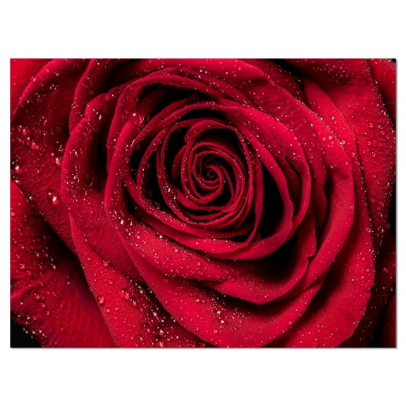 Designart 'Red Rose Petals with Rain Droplets ' Floral Art Canvas Print