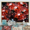 thumbnail image 1 of Designart "Reflecting On Dreamy Ladybugs" Ladybug Floater Framed Wall Decor, 1 of 5