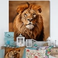 thumbnail image 1 of Designart "Regal Golden Lion Portrait II" Animals Wall Art - Modern Gold Lion Living Room Canvas Art, 1 of 6