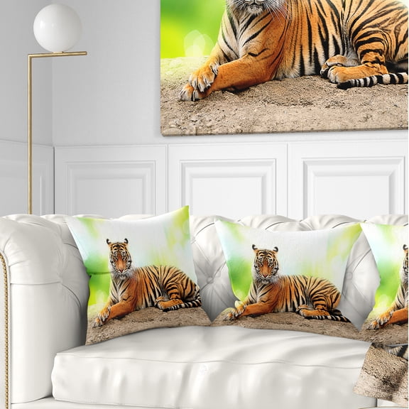 Designart Relaxing Tiger - Animal Photo Throw Pillow - 16x16