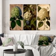 thumbnail image 1 of Designart "Retro-Colored Hydrangea Blossoming II" Floral Wall Art Set Of 3 - Traditional Green Gallery Wall Set For Home Decor, 1 of 6
