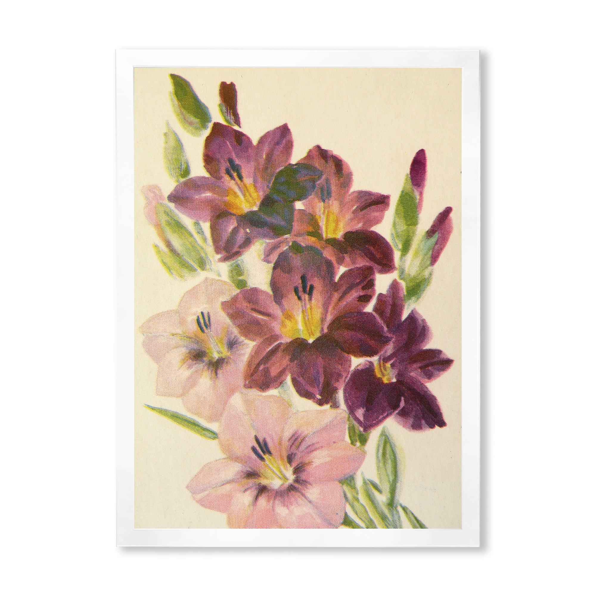 Designart 'Retro Dark and Light Pink Gladiolus' Traditional Framed Art Print