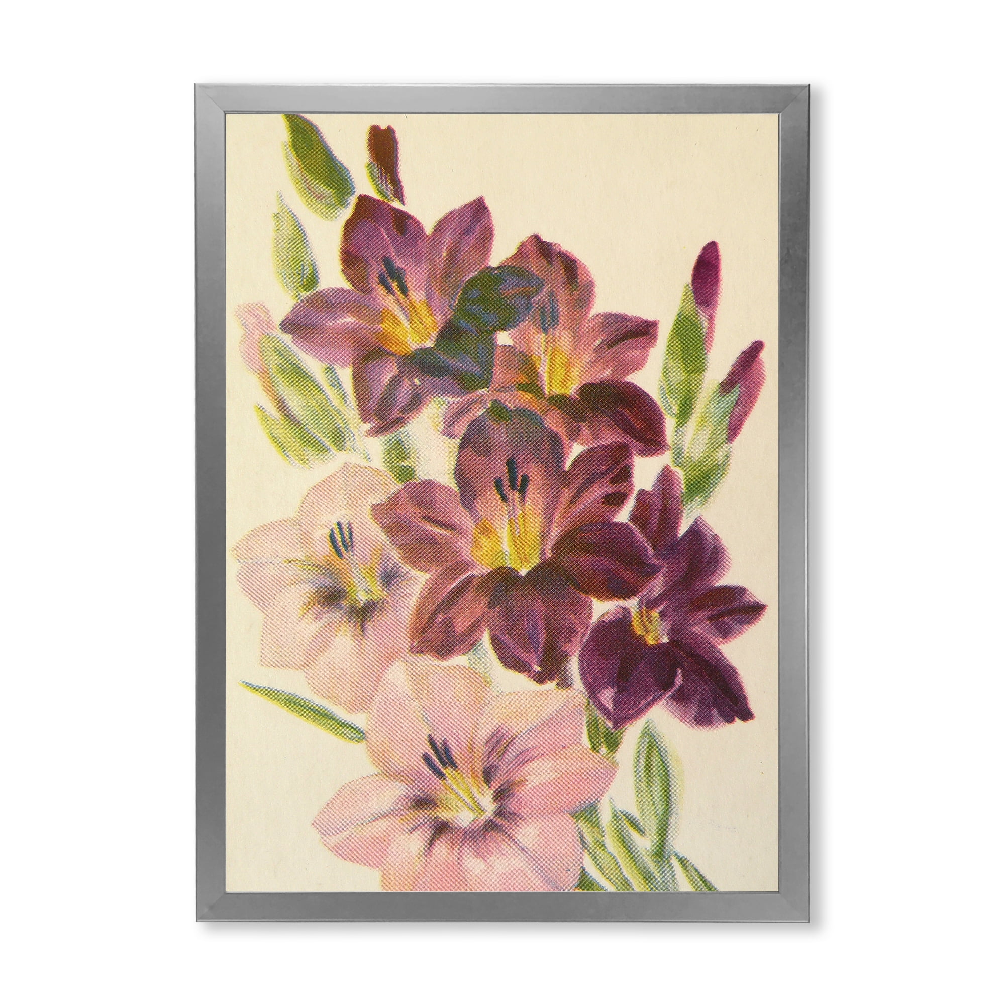 Designart 'Retro Dark and Light Pink Gladiolus' Traditional Framed Art Print