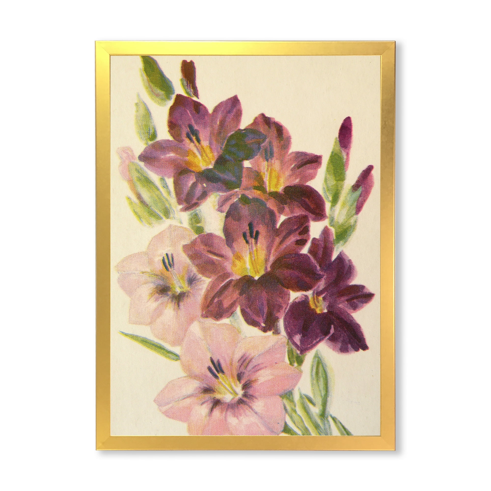 Designart 'Retro Dark and Light Pink Gladiolus' Traditional Framed Art Print