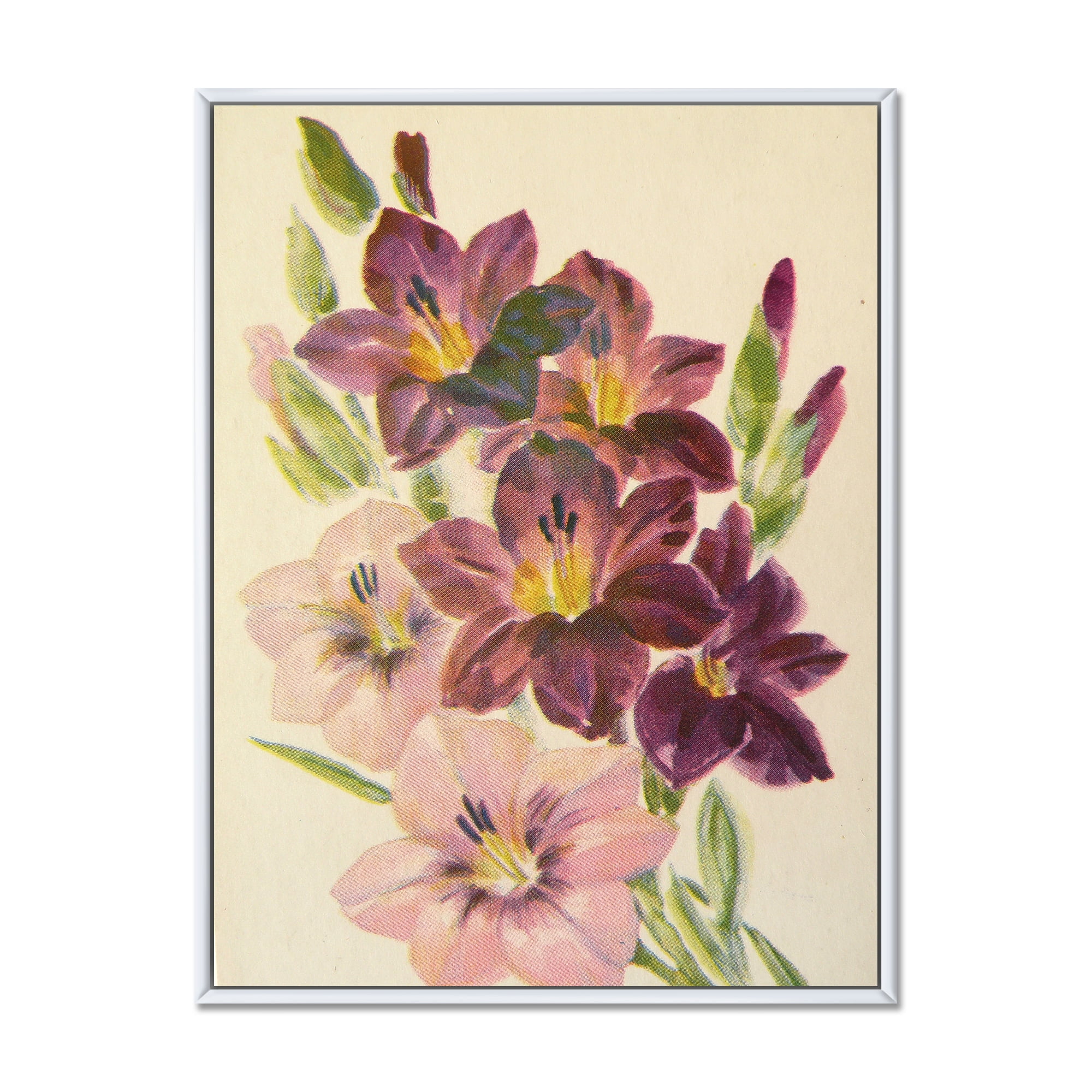 Designart 'Retro Dark and Light Pink Gladiolus' Traditional Framed Canvas Wall Art Print