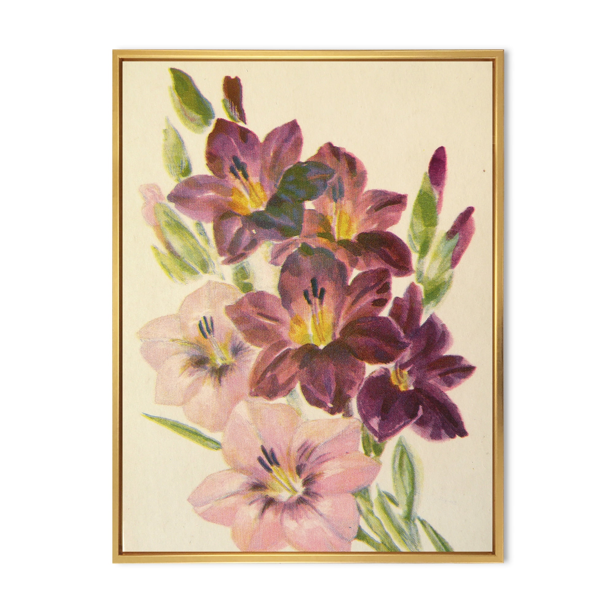 Designart 'Retro Dark and Light Pink Gladiolus' Traditional Framed Canvas Wall Art Print