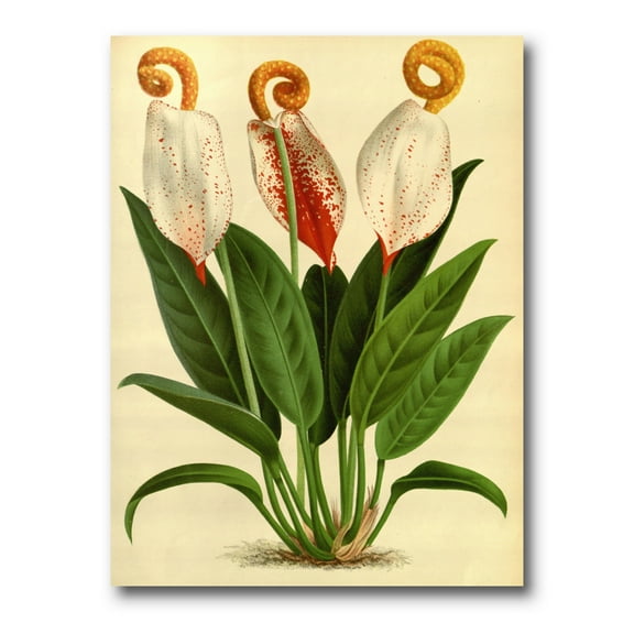 Designart ' Retro Wildflowers ' Farmhouse Canvas Wall Art Print