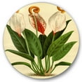 thumbnail image 1 of Designart 'Retro Wildflowers' Farmhouse Circle Metal Wall Art 29x29 - Disc of 29, 1 of 5