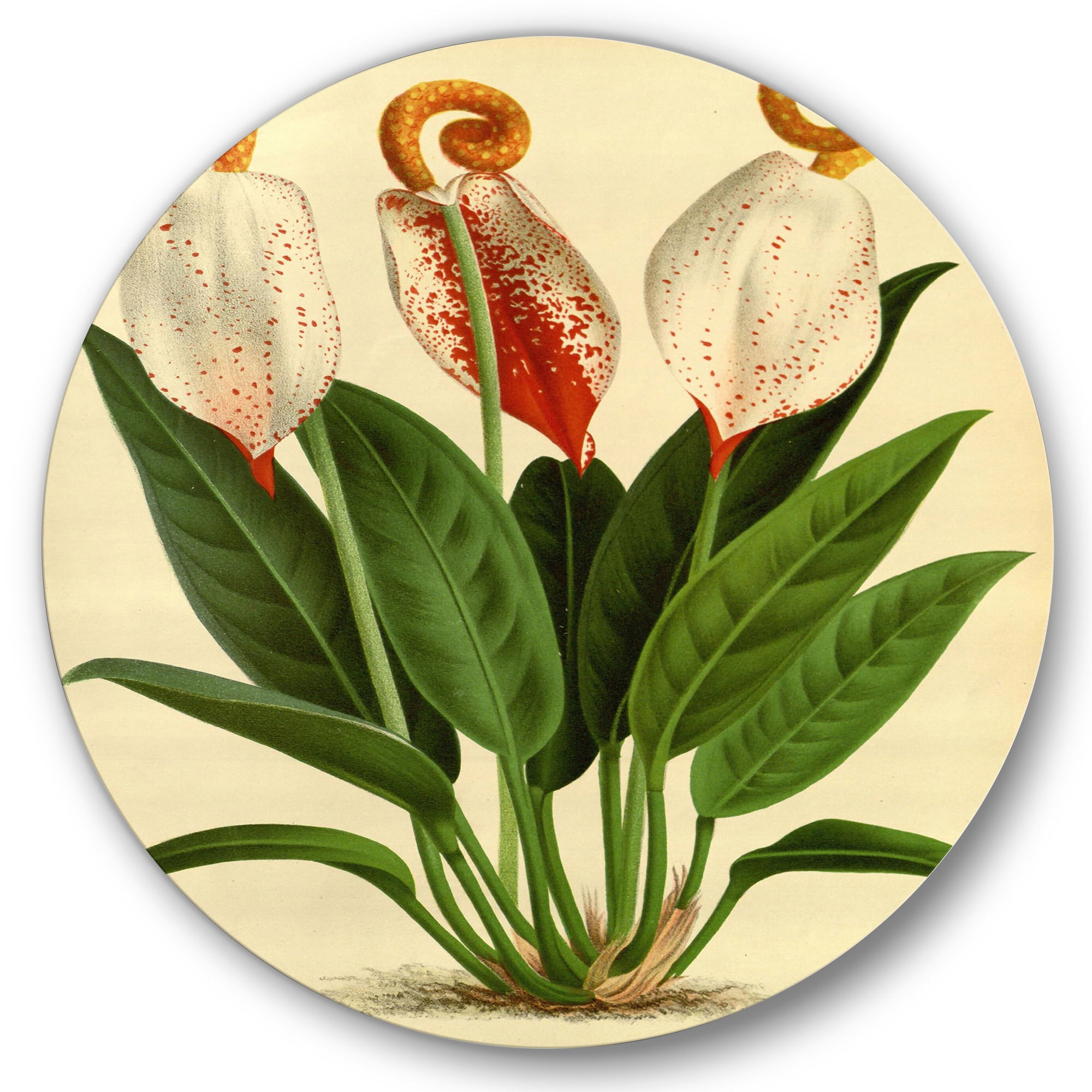 Designart 'Retro Wildflowers' Farmhouse Circle Metal Wall Art 36x36 - Disc of 36