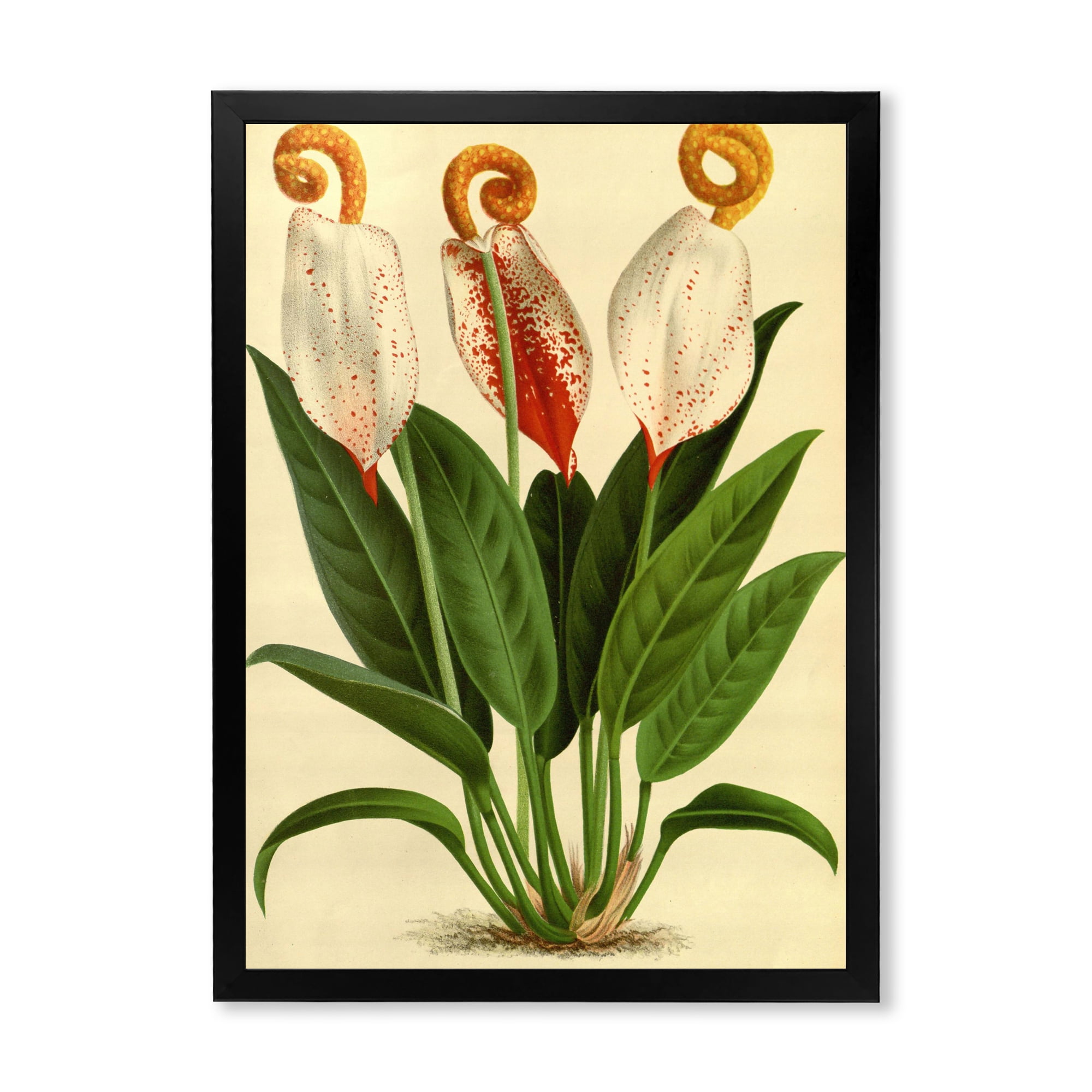 Designart 'Retro Wildflowers' Farmhouse Framed Art Print