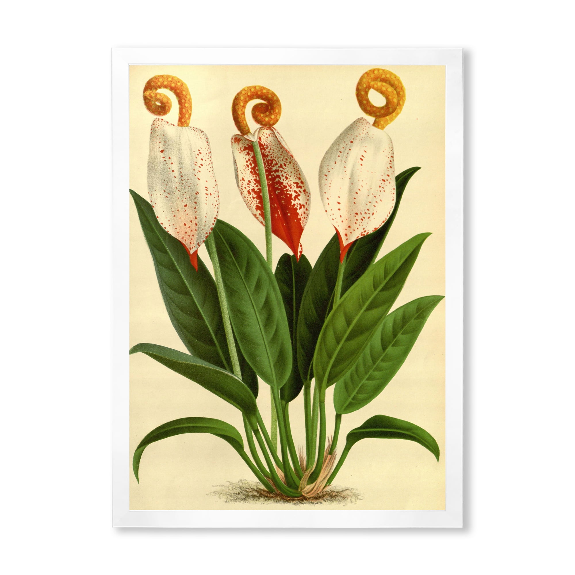Designart 'Retro Wildflowers' Farmhouse Framed Art Print