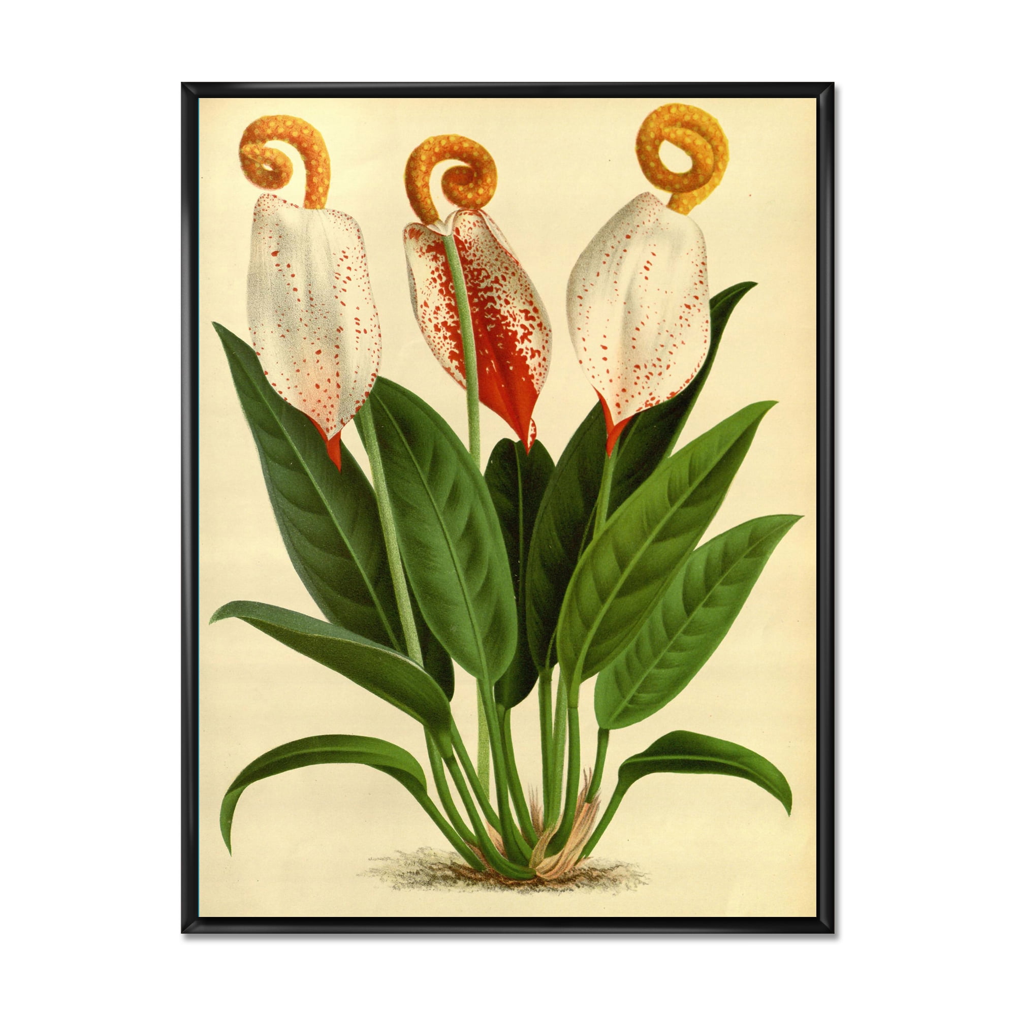 Designart 'Retro Wildflowers' Farmhouse Framed Canvas Wall Art Print