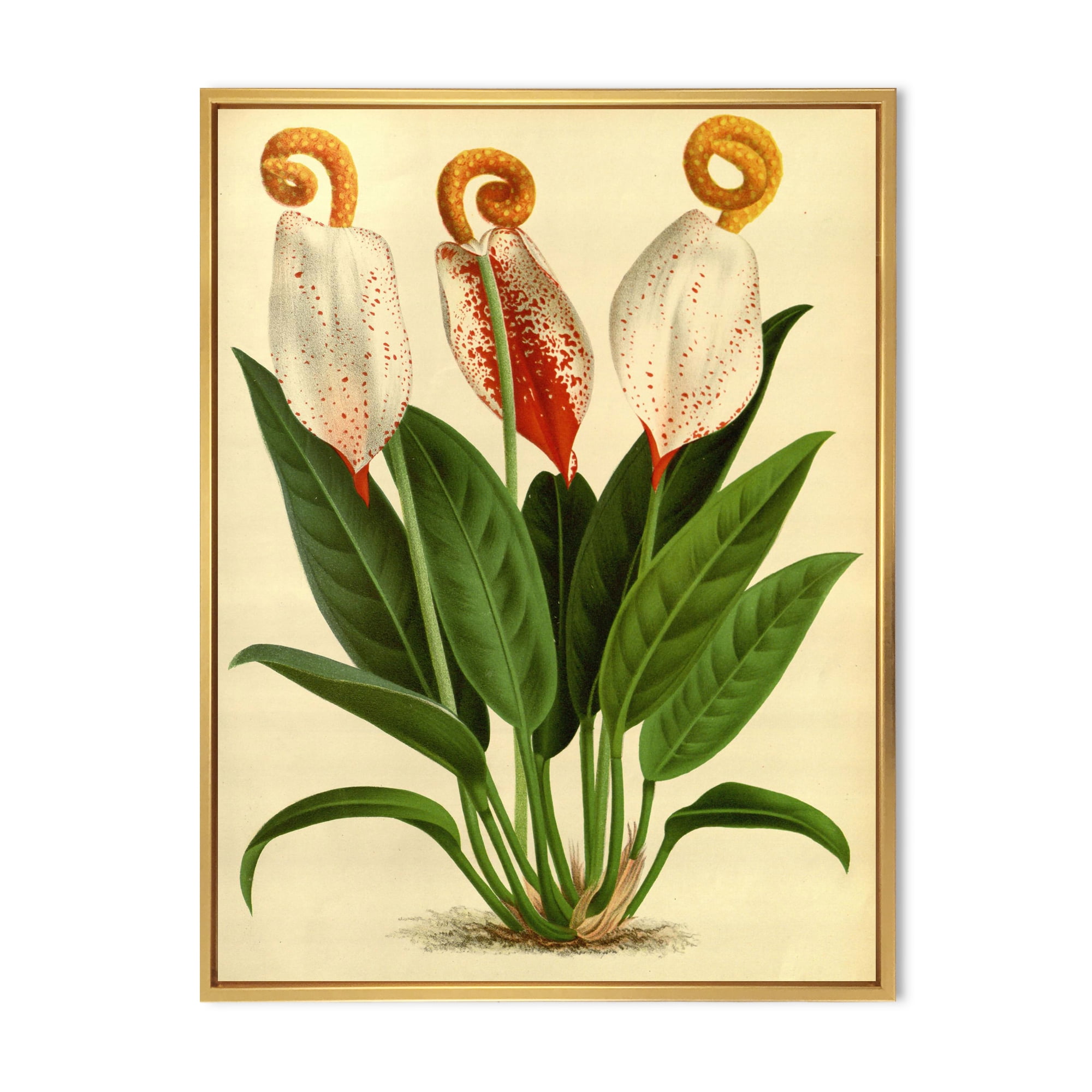 Designart 'Retro Wildflowers' Farmhouse Framed Canvas Wall Art Print