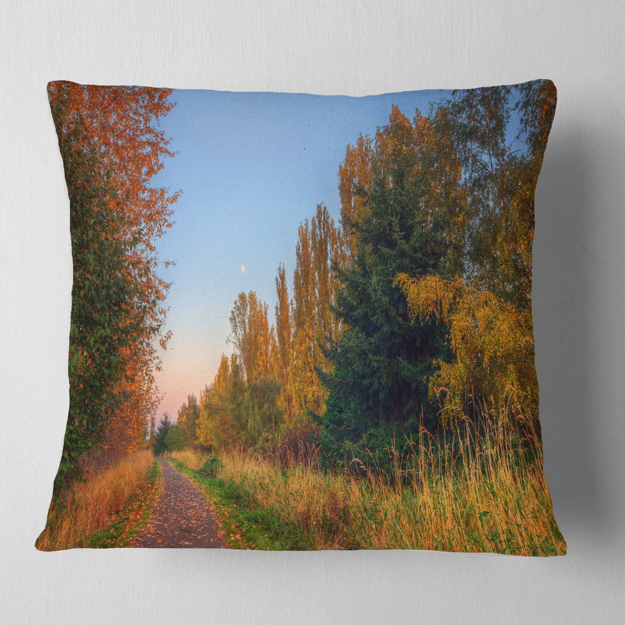 Designart Road Through Fall Forest - Landscape Printed Throw Pillow - 16x16