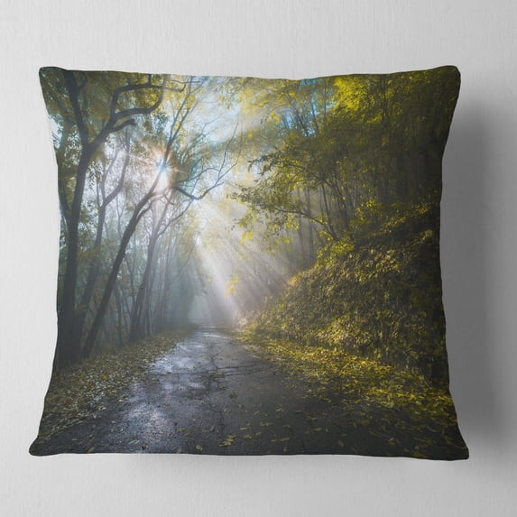 Designart Road in Autumn Forest at Sunset - Landscape Printed Throw Pillow - 16x16