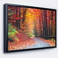 thumbnail image 1 of Designart ' Road in Beautiful Autumn Forest ' Modern Forest Framed Canvas Art, 1 of 3