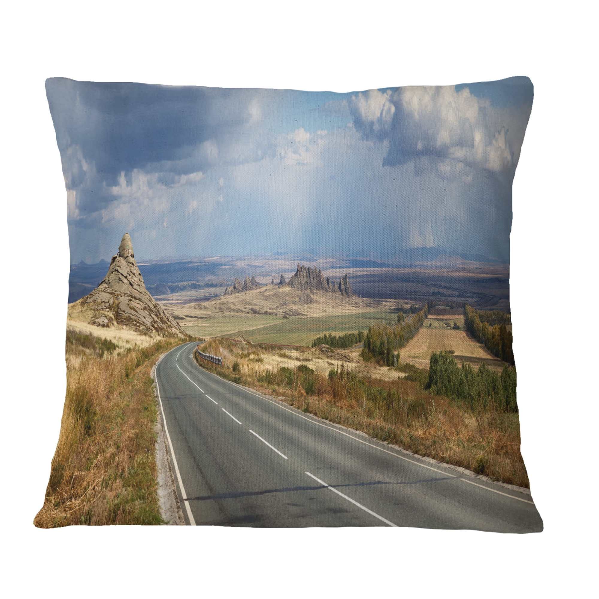 Designart Road in East Kazakhstan Panorama - Landscape Printed Throw Pillow - 16x16
