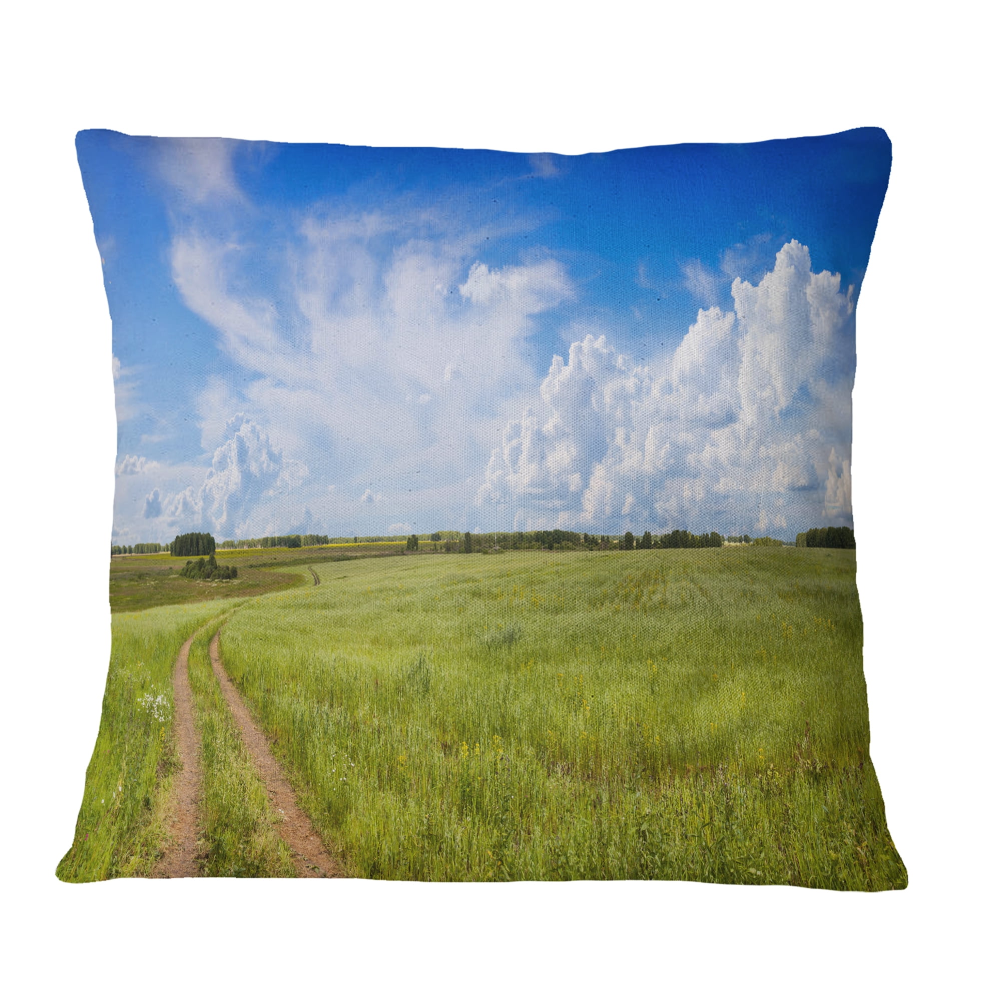 Designart Road in Field with Green Grass - Landscape Printed Throw Pillow - 18x18