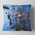thumbnail image 1 of Designart Rock Blue River Panorama - Oversized Beach Throw Pillow - 16x16, 1 of 4