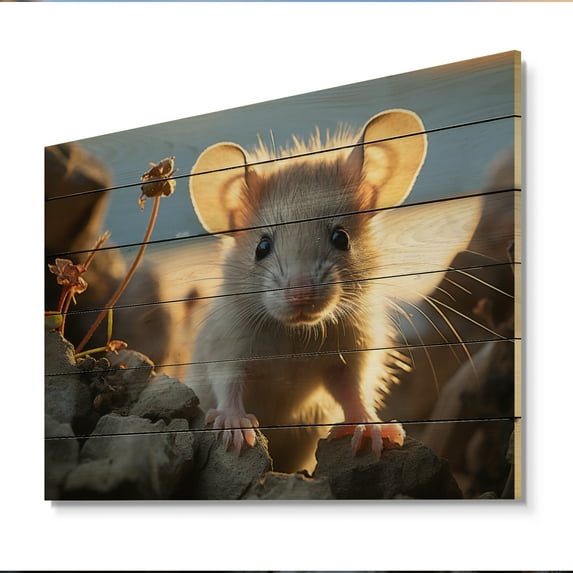 Designart "Rodent Portrait White Cute wall art I" Animals Print on Natural Pine Wood