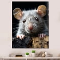 thumbnail image 1 of Designart "Rodent Portrait White Cute wall art III" Animals Canvas Print, 1 of 5