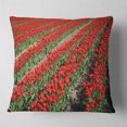 thumbnail image 1 of Designart Rows of Red Tulip Flowers - Floral Throw Pillow - 18x18, 1 of 4