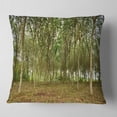 thumbnail image 1 of Designart Rubber Tree Plantation during Midday - Landscape Printed Throw Pillow - 16x16, 1 of 4