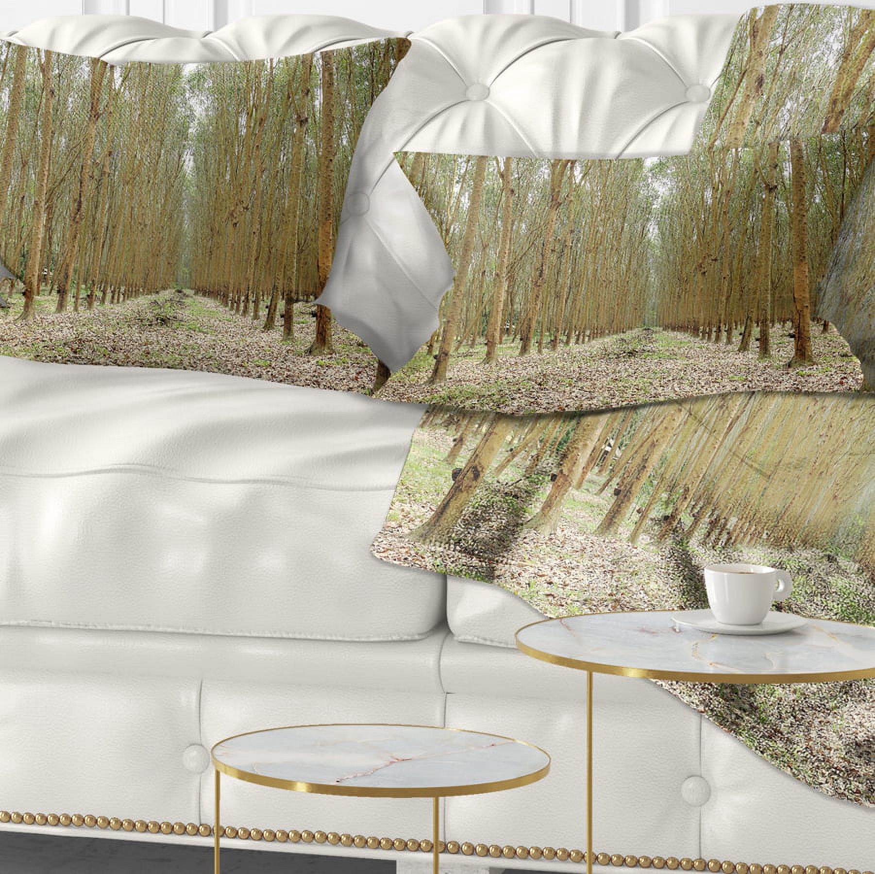 Designart Rubber Trees Row in Thailand - Modern Forest Throw Pillow - 12x20