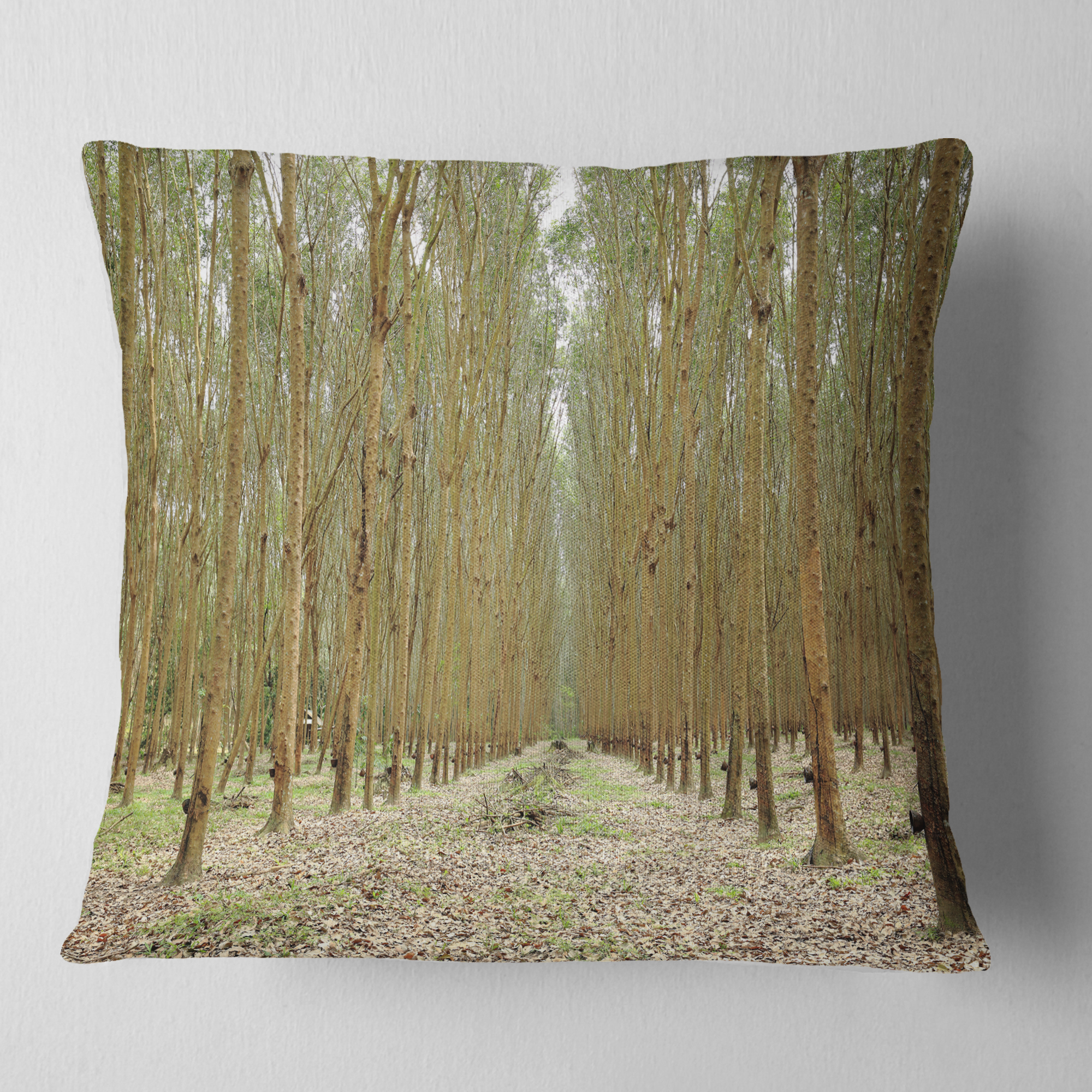 Designart Rubber Trees Row in Thailand - Modern Forest Throw Pillow - 16x16