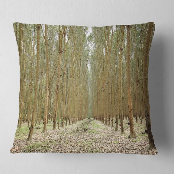 Designart Rubber Trees Row in Thailand - Modern Forest Throw Pillow - 16x16