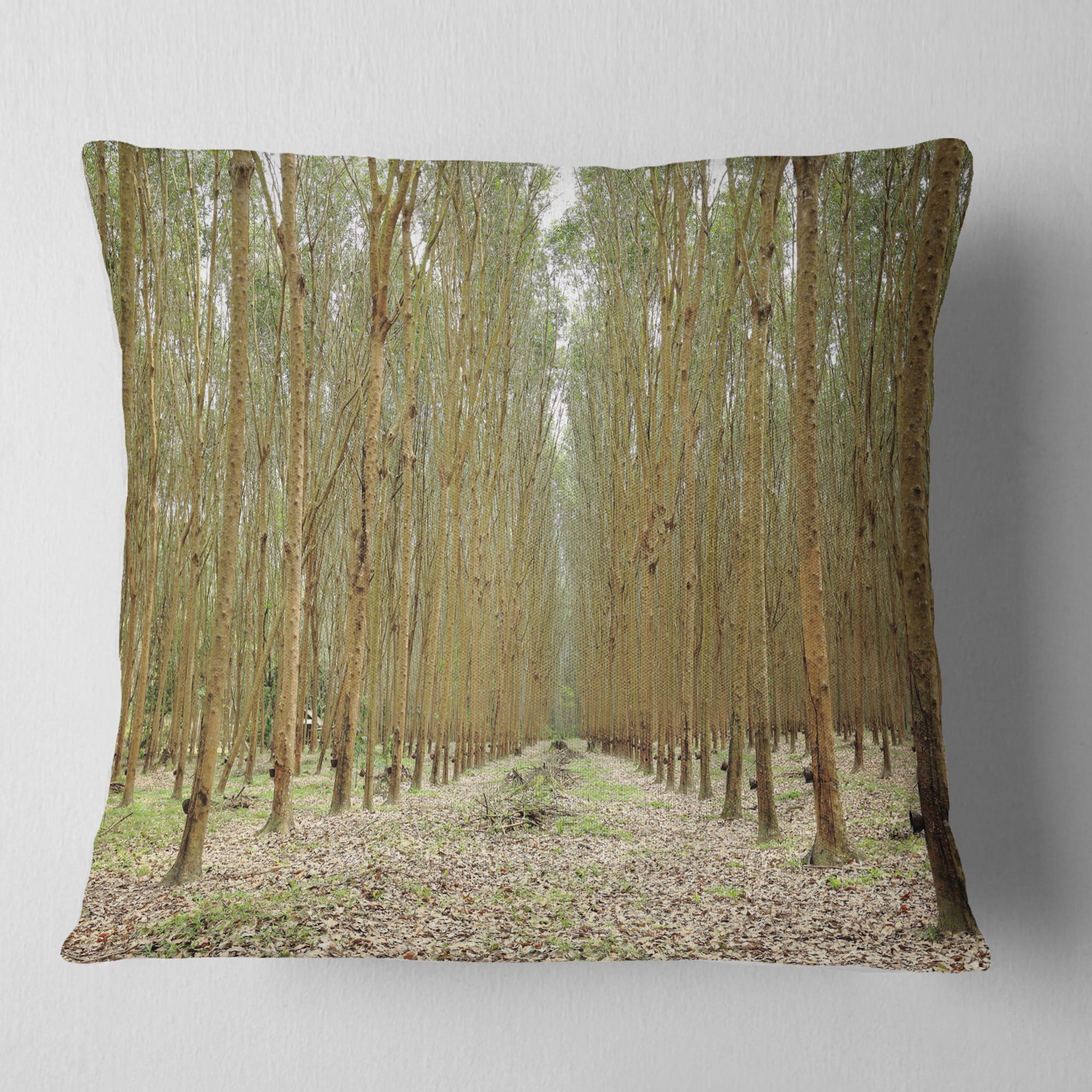 Designart Rubber Trees Row in Thailand - Modern Forest Throw Pillow - 18x18