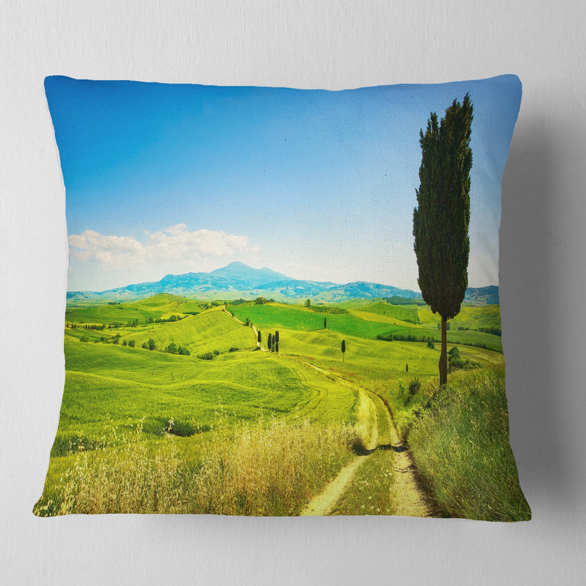 Designart Rural Landscape Countryside Farm - Landscape Wall Throw Pillow - 18x18