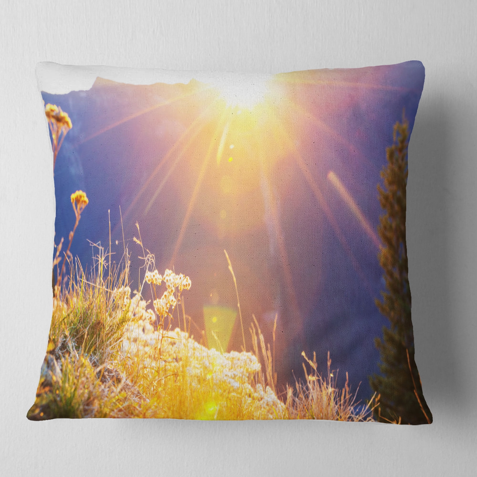 Designart Rural Meadow Flowers At Sunset - Landscape Printed Throw Pillow - 18x18