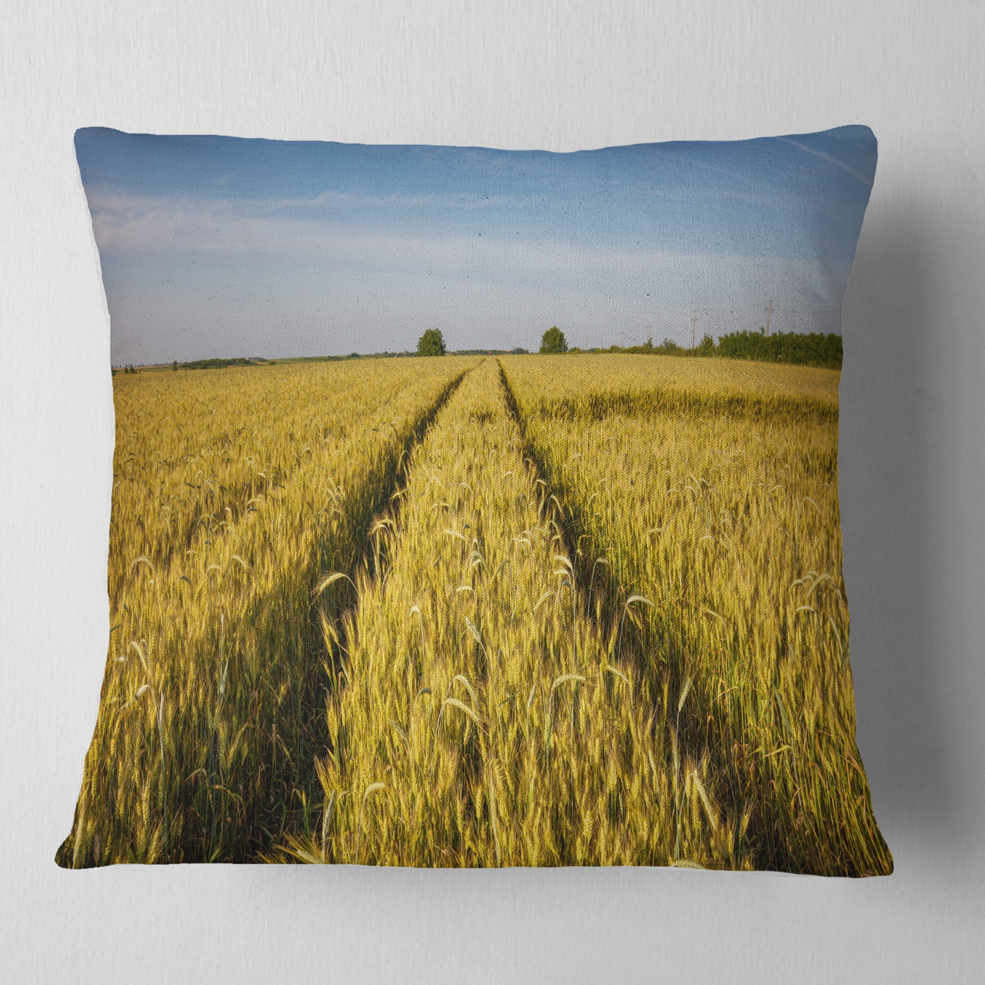 Designart Rural Road through Wheat Field - Landscape Printed Throw Pillow - 16x16