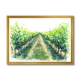 thumbnail image 1 of Designart 'Rural Scene Vineyard Path' Traditional Framed Art Print, 1 of 4