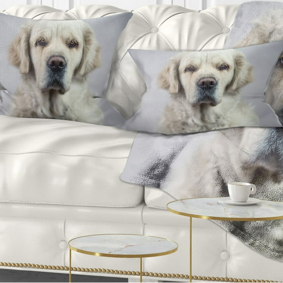 Designart Sad Looking Beautiful Dog - Animal Throw Pillow - 12x20