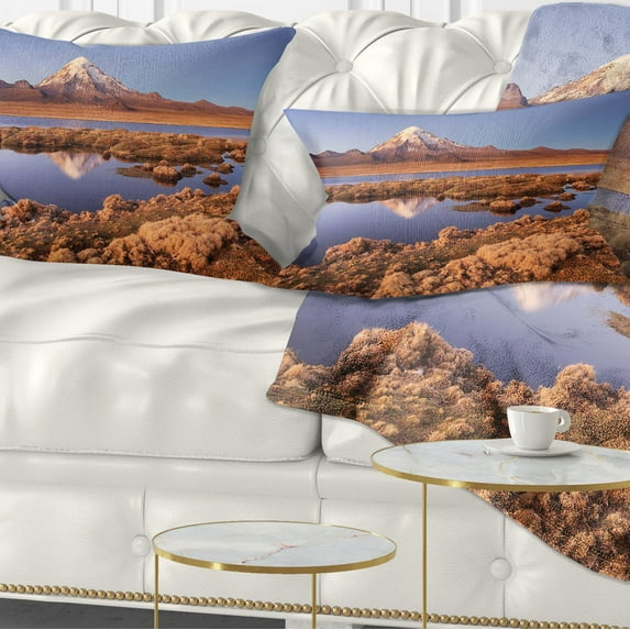 Designart Sajama National Park Bolivia - Landscape Printed Throw Pillow - 12x20