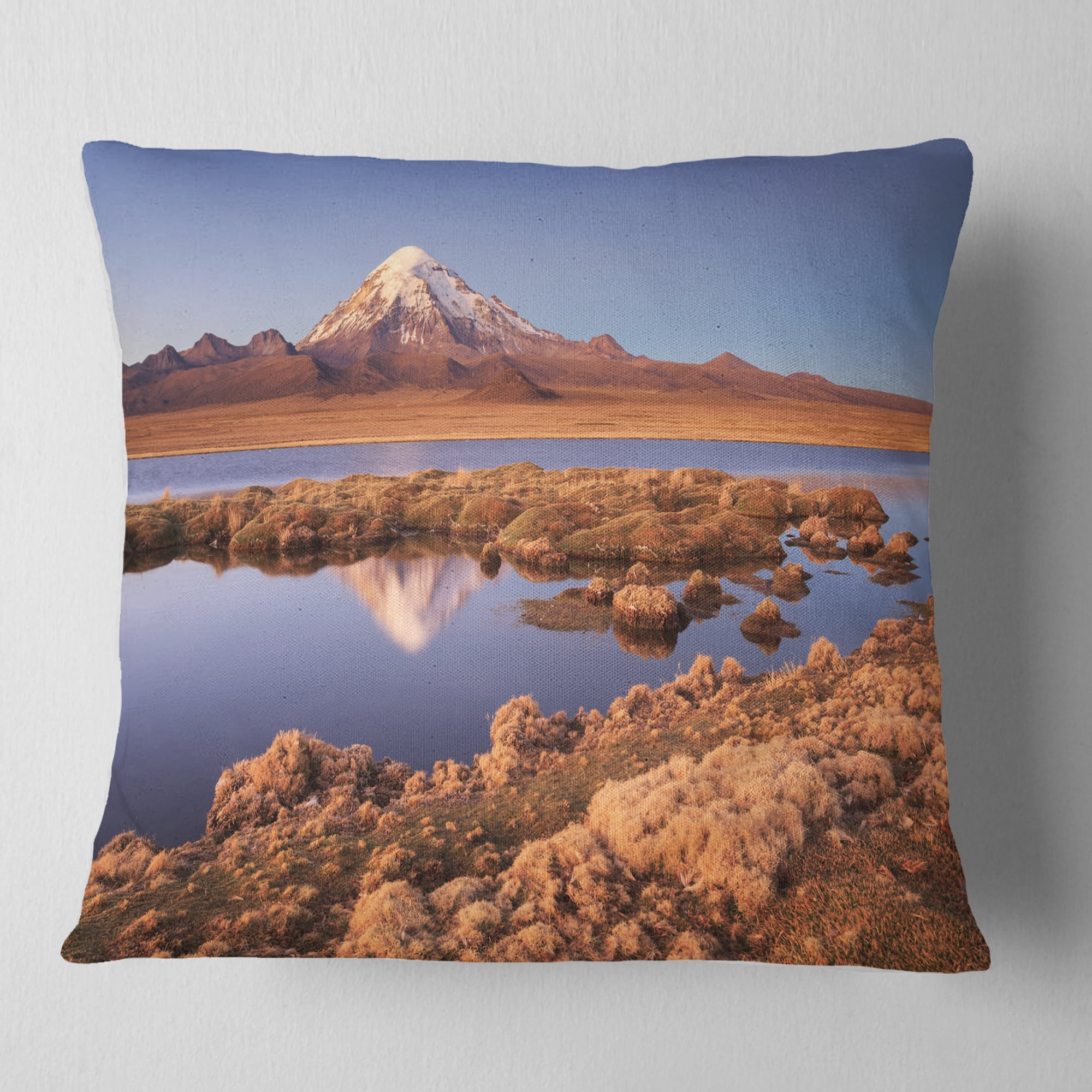 Designart Sajama National Park Bolivia - Landscape Printed Throw Pillow - 16x16