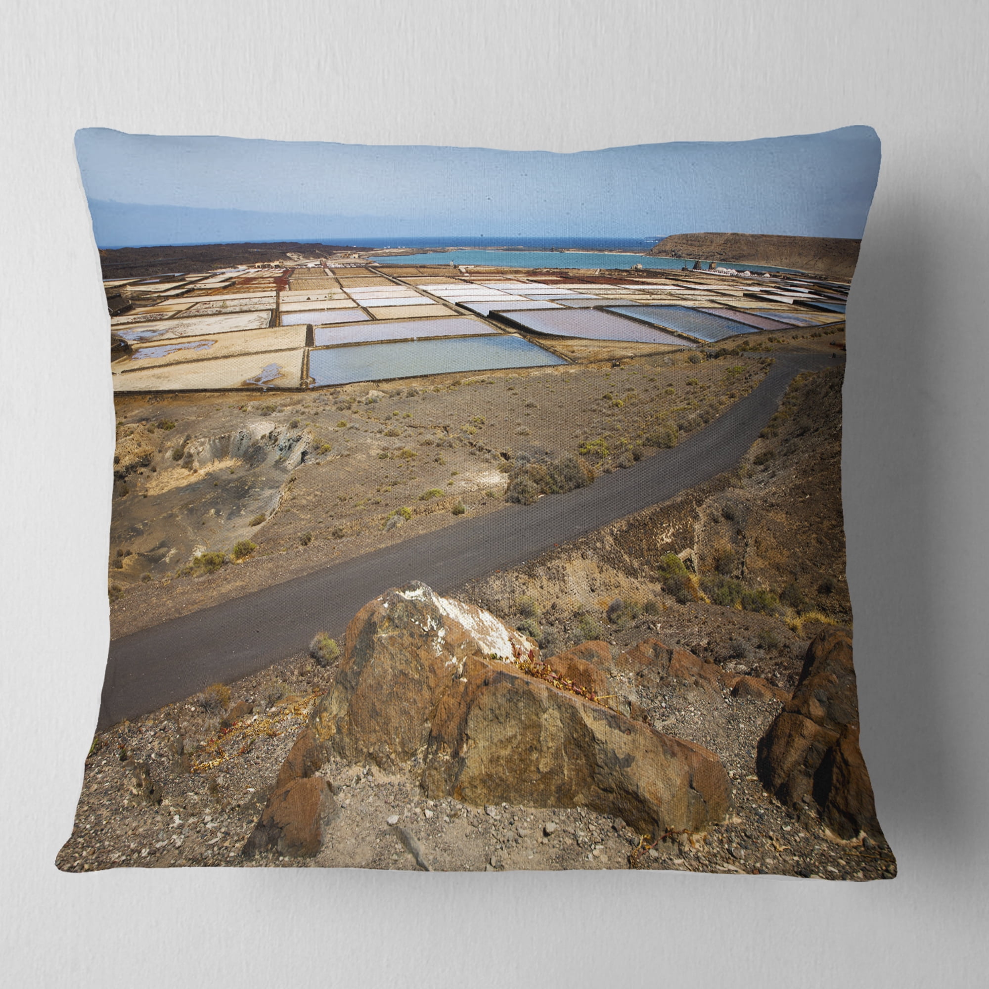 Designart Salt in Lanzarote Spain Musk Pond - Seashore Throw Pillow - 16x16