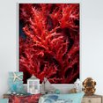 thumbnail image 1 of Designart "Scarlet Gorgonacea Waters" Coastal Coral Under Water Floater Framed Wall Art Living Room, 1 of 5