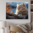 thumbnail image 1 of Designart "Scottish Fold Peaceful Cat" Animals Cat Floater Framed Wall Art Living Room, 1 of 5