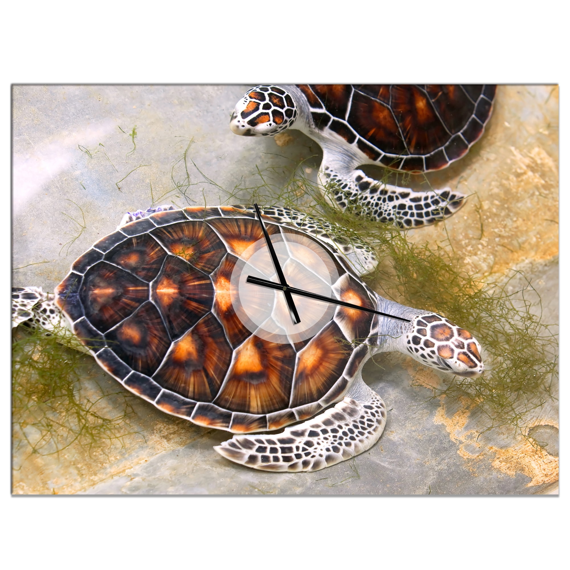 Designart 'Sea Turtles in Nursery' Traditional Wall Clock