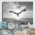 thumbnail image 1 of Designart "Seagulls in Flight Grey Beach Soar II" Animals Metal Wall Art, 1 of 1