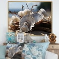 thumbnail image 1 of Designart "Seashell Sonata Beach Photo II" Nautical & Beach Floater Framed Canvas Print, 1 of 7
