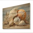thumbnail image 1 of Designart "Seashells Contemporary composition" Animals Print on Natural Pine Wood, 1 of 5