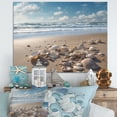 thumbnail image 1 of Designart "Seaside Seashell Treasures III" Modern Landscape Beach Wall Art For Bathroom, 1 of 5